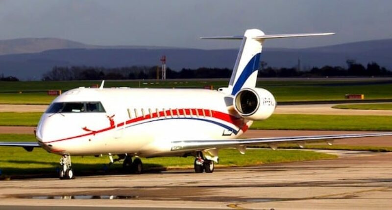 emplacement de jet privé, CRJ 200 intérieur, sièges en cuir gris.