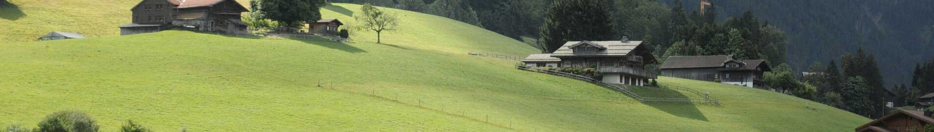 Paris - Gstaad : özel jet kiralama 