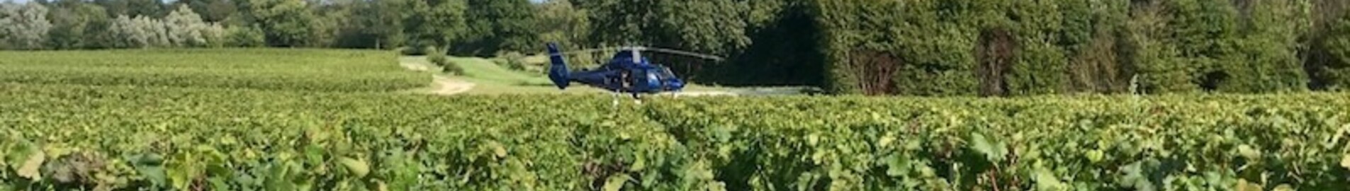 Helikopterle üzüm bağlarını keşfedin