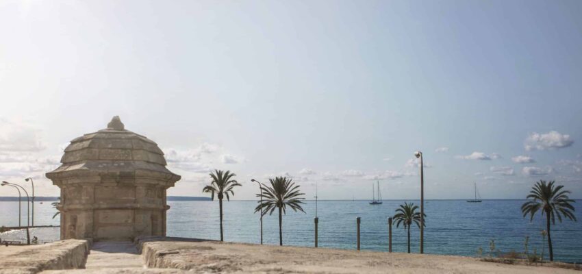 Location de tour de guet en bord de mer, palmiers, voiliers.