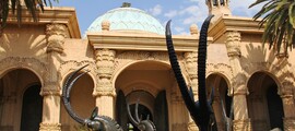 Cape Town: özel jet kiralama 