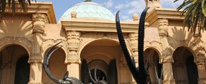 Johannesburg : özel jet kiralama 