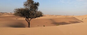 Abu Dabi: özel jet kiralama 