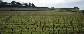 Bordeaux Mérignac: özel jet kiralama 