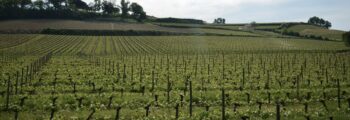 Gronholt Hillerod : location de jet privé