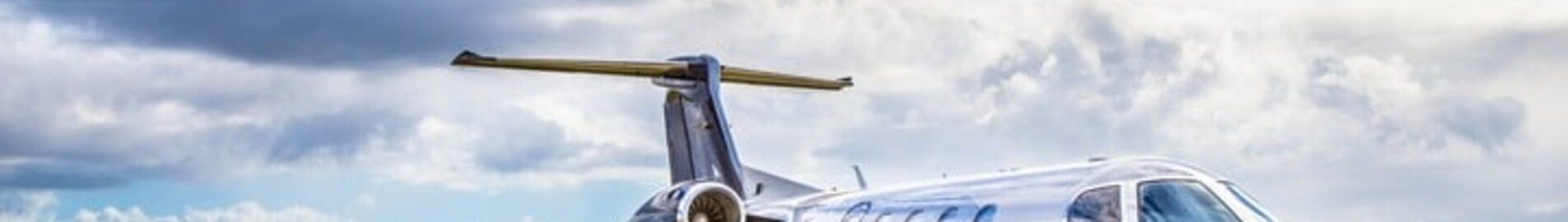 NetJets : havayolu
