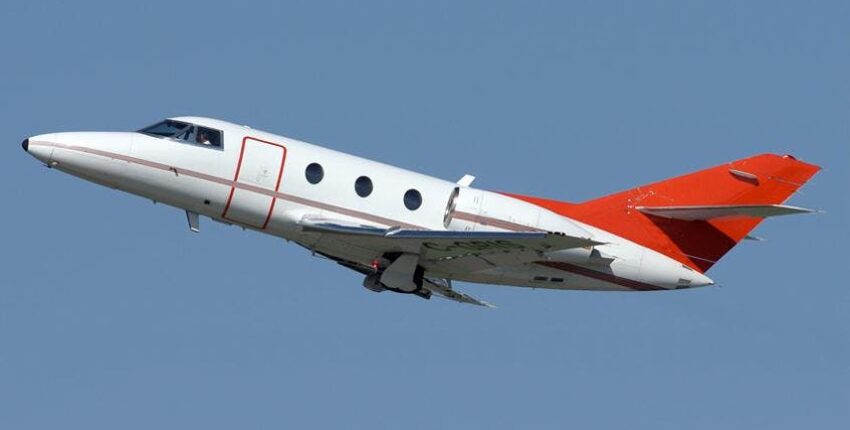 Falcon 10/100