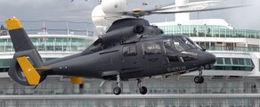  DAUPHIN AS 365 : helikopter kiralama
