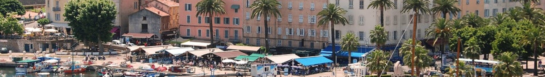 Ajaccio-Napoléon-Bonaparte: özel jet kiralama 