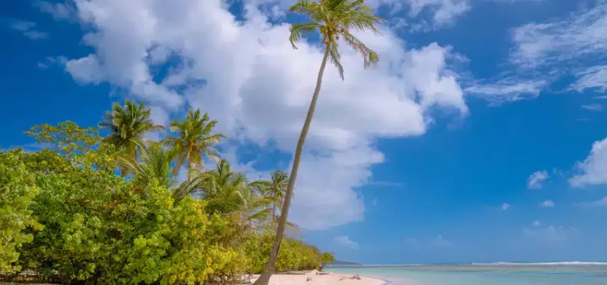 Plage Guadeloupe