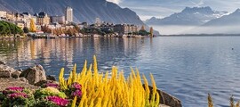 Cenevre - Cannes : özel jet kiralama