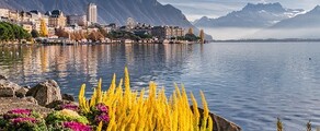 Hamburg - Cenevre : özel jet kiralama