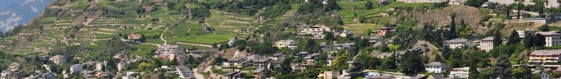 Sion : özel jet kiralama 