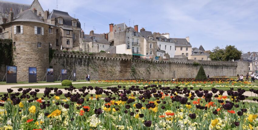 Vannes