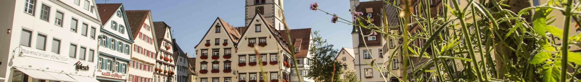Biberach An Der Riss : özel jet kiralama 