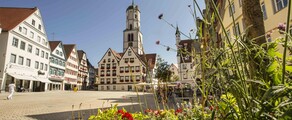 Biberach An Der Riss : özel jet kiralama 