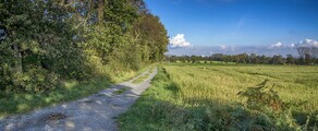 Dinslaken Schwarze Heide : özel jet konumu 