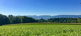 Gstaad Saanen : özel jet kiralama 