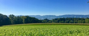 Dubendorf: özel jet kiralama 