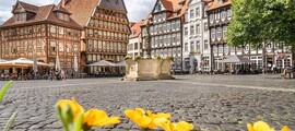 Brandenburg Briest: özel jet kiralama 