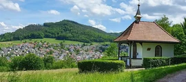 Saulgau: özel jet kiralama 