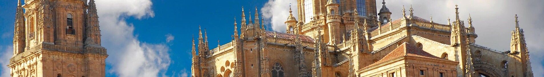 Salamanca Matacan : özel jet kiralama 