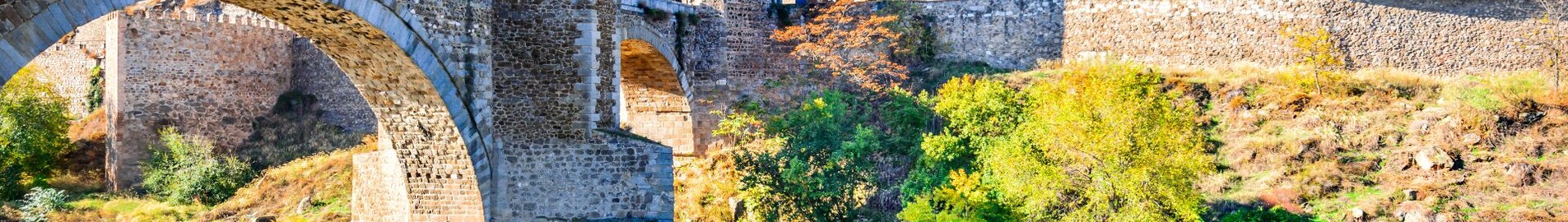Toledo Ocana : özel jet kiralama 