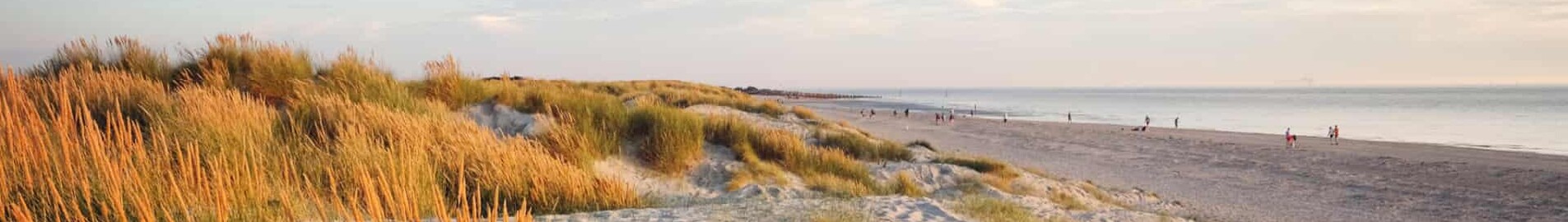 Wittering : özel jet kiralama 