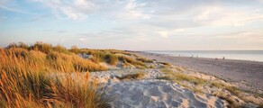 Wittering : özel jet kiralama 