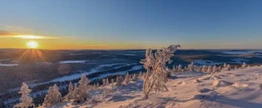 Arvidsjaur : özel jet kiralama