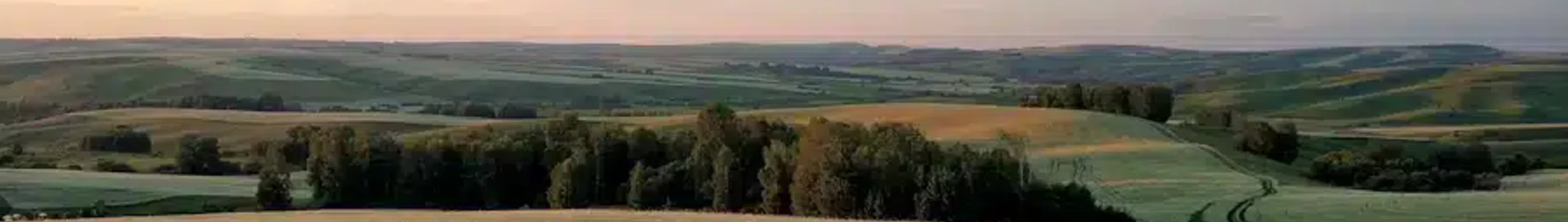 Barnaul: özel jet kiralama