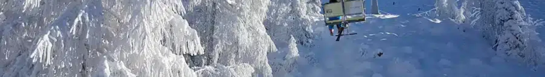 Cerklje : özel jet kiralama