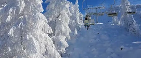 Cerklje : özel jet kiralama