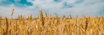 France : location de jet privé