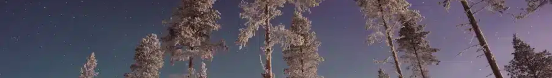 Gallivare Lapland : özel jet kiralama