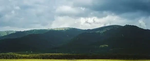 Gelendzhik : özel jet kiralama