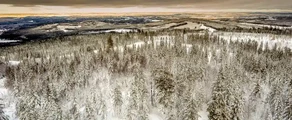 Hagfors : özel jet kiralama