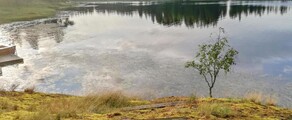 Halli: özel jet kiralama