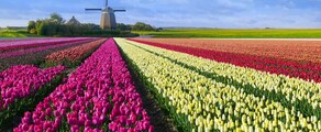 Hoogeveen : özel jet konumu