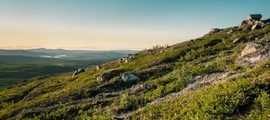Sundsvall Harnosand : özel jet kiralama