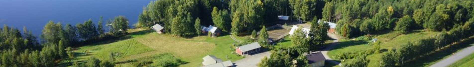 Kitee : özel jet kiralama 