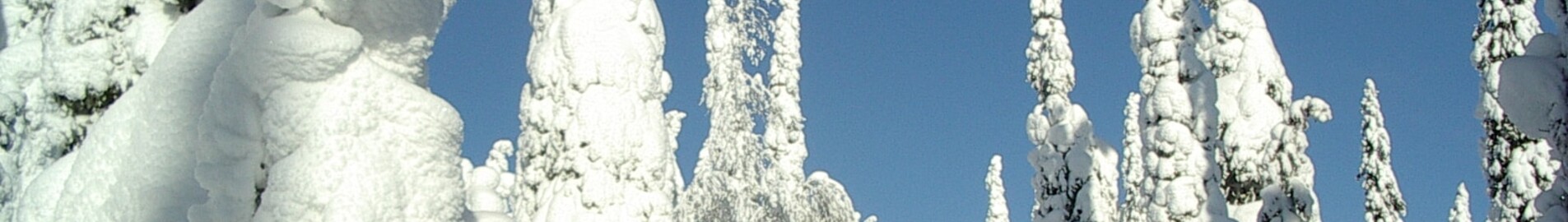 Kuusamo: özel jet kiralama 