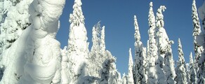 Kuusamo: özel jet kiralama 