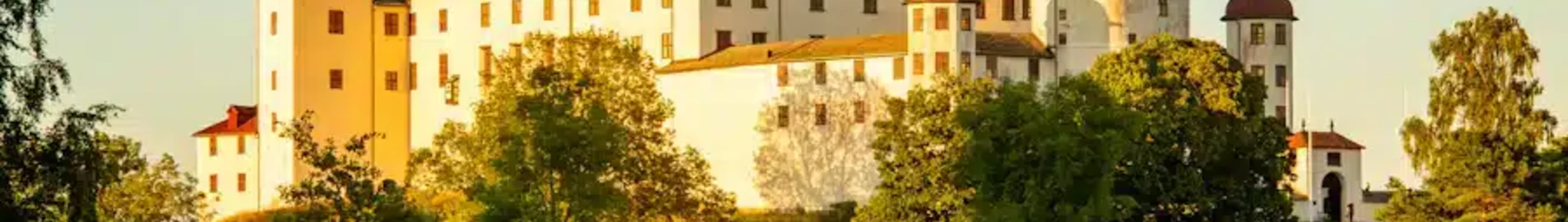Lidkoping : özel jet kiralama