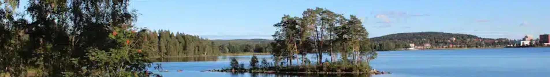 Ludvika: özel jet kiralama