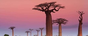 Madagaskar : Özel jet kiralama
