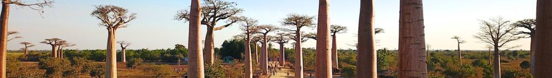 Morondava : özel jet kiralama