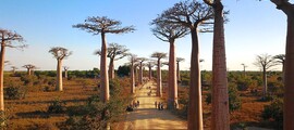Madagaskar : Özel jet kiralama
