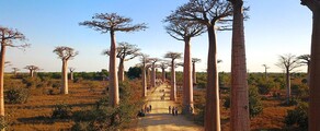 Morondava : özel jet kiralama