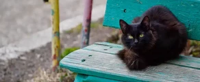 Nizhnekamsk Begishevo : özel jet kiralama